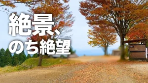 蔵迫温泉さくらオートキャンプ場の紅葉の景色